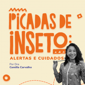 Picadas de Insetos, alertas e cuidados